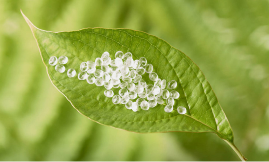 What is the elongation at break of polyether TPU?
